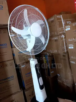 Exclusive ~Rechargeable Standing Fan