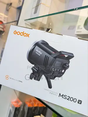Godox Ms200v 2in1 Light and Flash