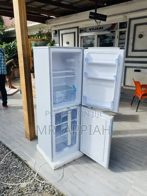 Nasco Nascod2-20fl Bottom Freezer Electric Fridge(Gray).