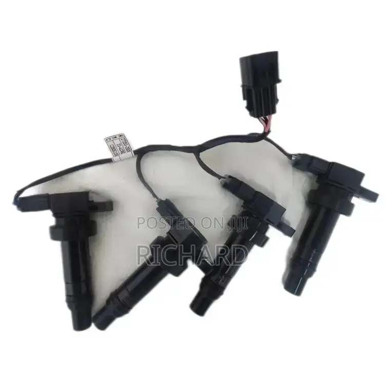 Hyundai and Kia Ignition Coils