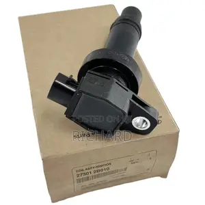 Hyundai and Kia Ignition Coils