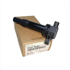 Hyundai and Kia Ignition Coils