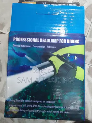 Professional Headlamp For Diving