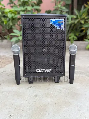 SAST Professional Audio Speaker With Wireless Microphones