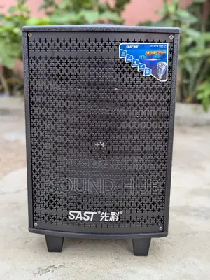 SAST Professional Audio Speaker With Wireless Microphones