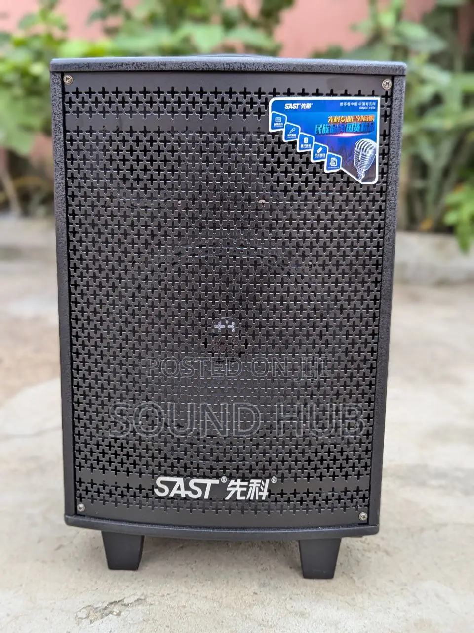 SAST Professional Audio Speaker With Wireless Microphones