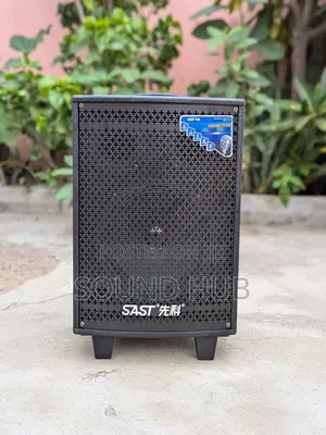 SAST Professional Audio Speaker With Wireless Microphones