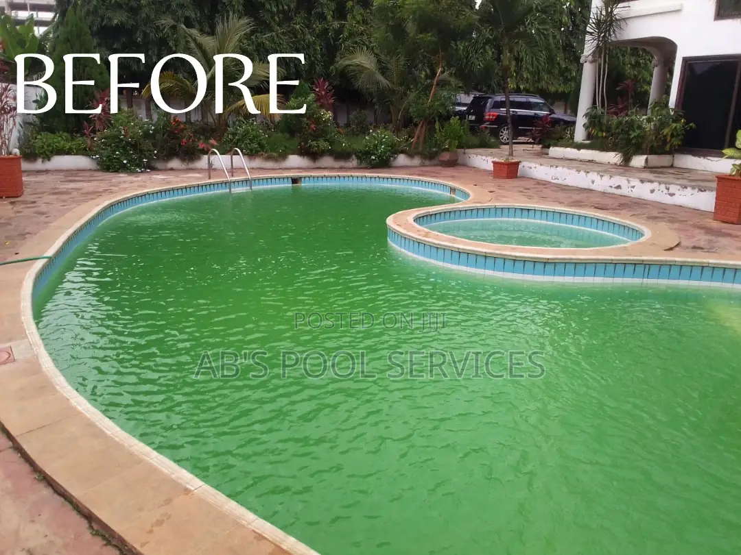 Cleaning and Maintenance of Swimming Pool
