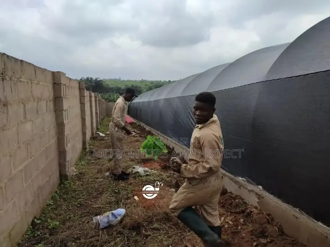 Commercial Snails Greenhouse