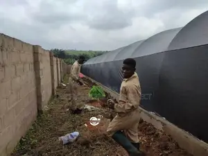 Commercial Snails Greenhouse