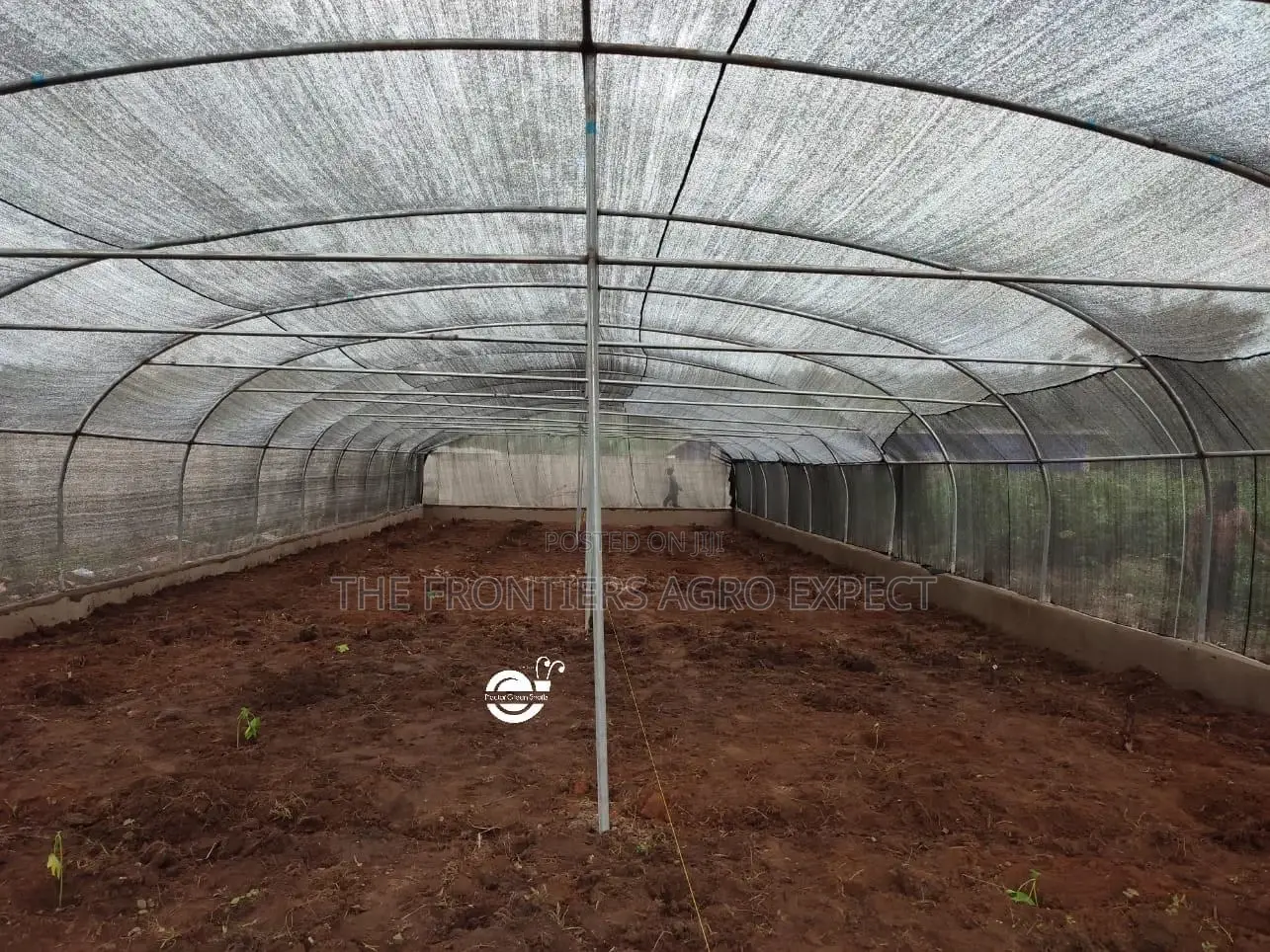 Commercial Snails Greenhouse