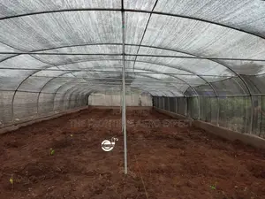 Commercial Snails Greenhouse