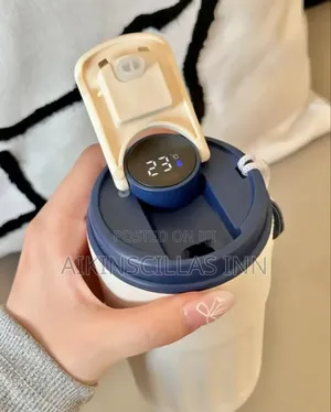 Insulated Temperature Cup