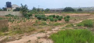 Perfect Price Drop on Real Lands at Prampram