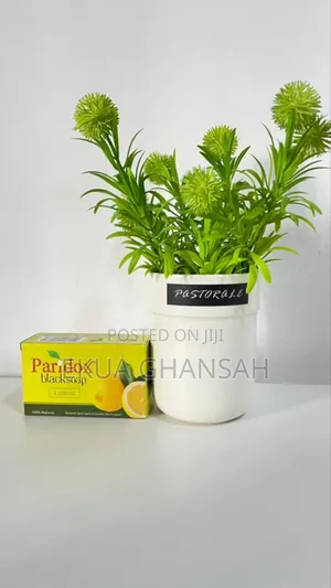 Paridox Black Soap