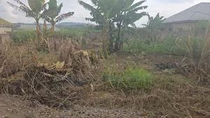 A Wall and Gated Land at Maase-Adubinso for Sale