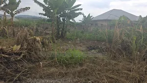 A Wall and Gated Land at Maase-Adubinso for Sale