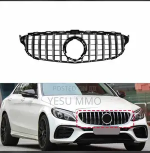 Mercedes Benz C300 Top Grille With Crown