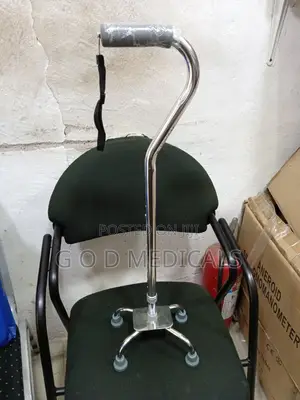 Quadcane Walking Stick