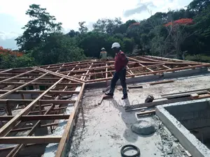 Hidden Roof Expert