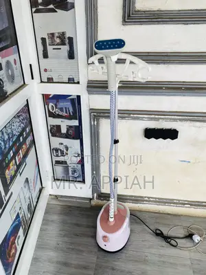 Lovely Designed Standing Garment Steamer.