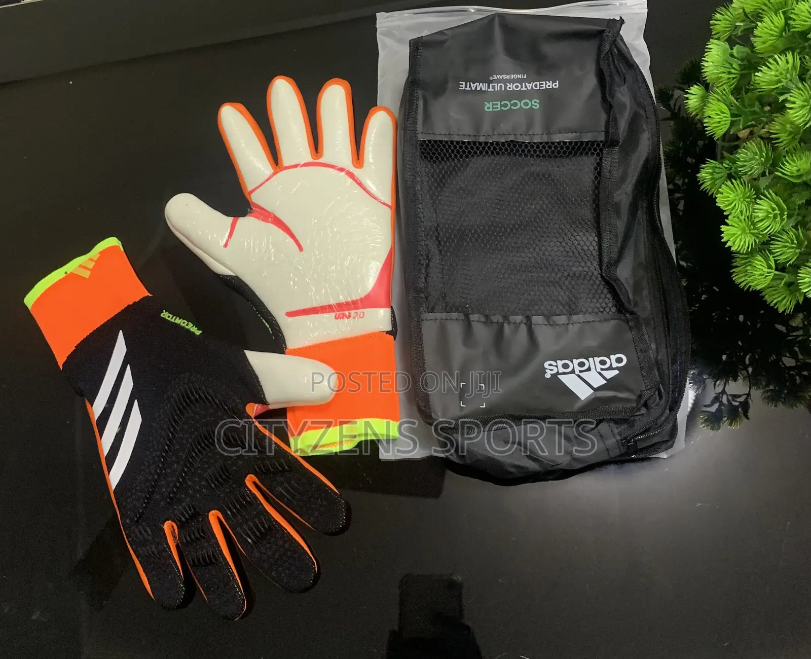 Predator Keepers Glove