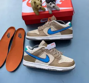 Nike Dunk Low Sneaker