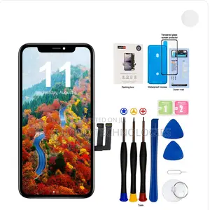 iPhone 11 Screen Repair/Replacement