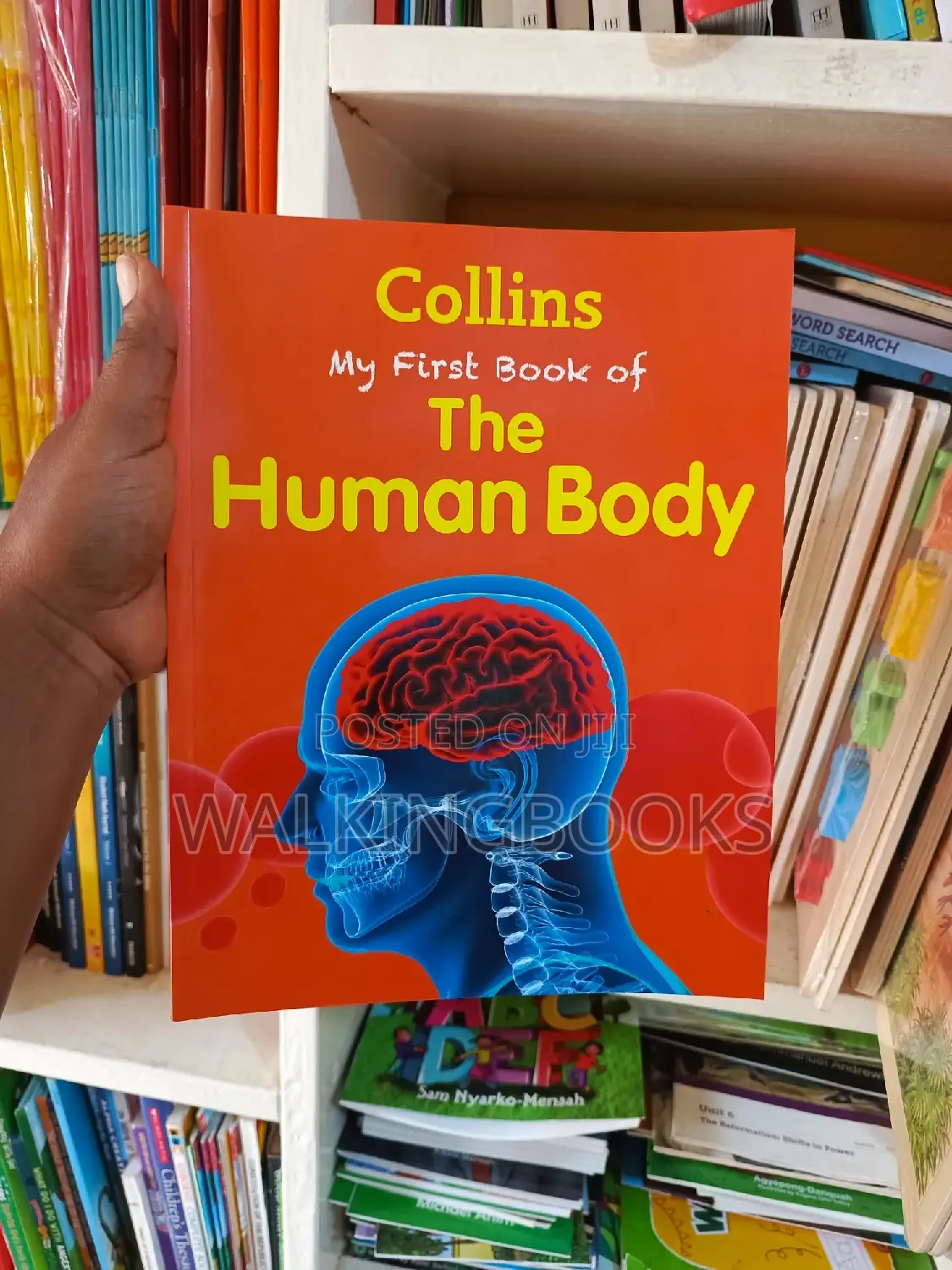 My First Book of the Human Body