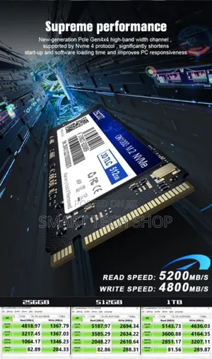 256GB Oscoo Pcie NMVE SSD for Laptops and Desktops