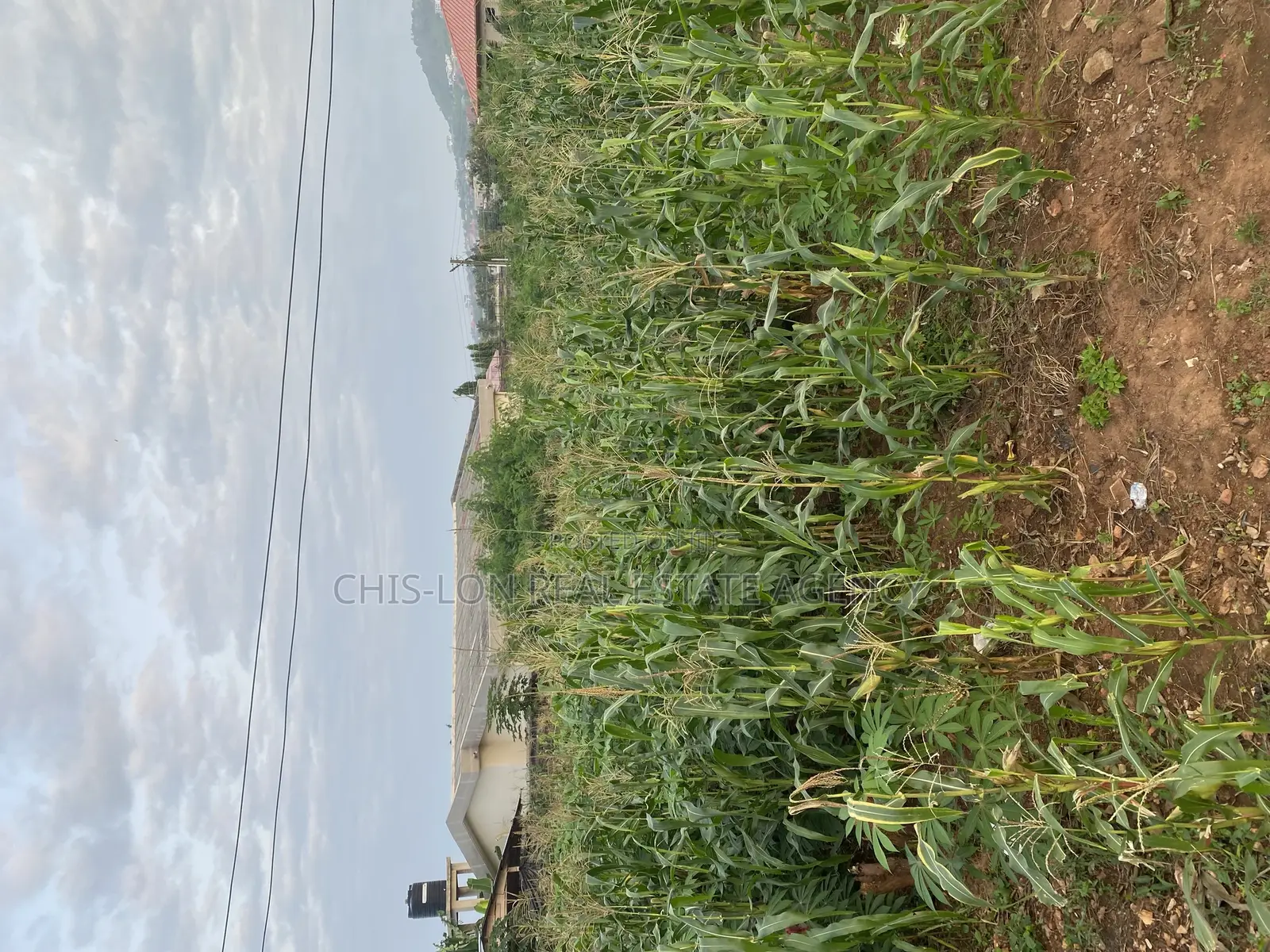 Genuine Land for Sale.