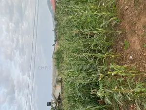Genuine Land for Sale.