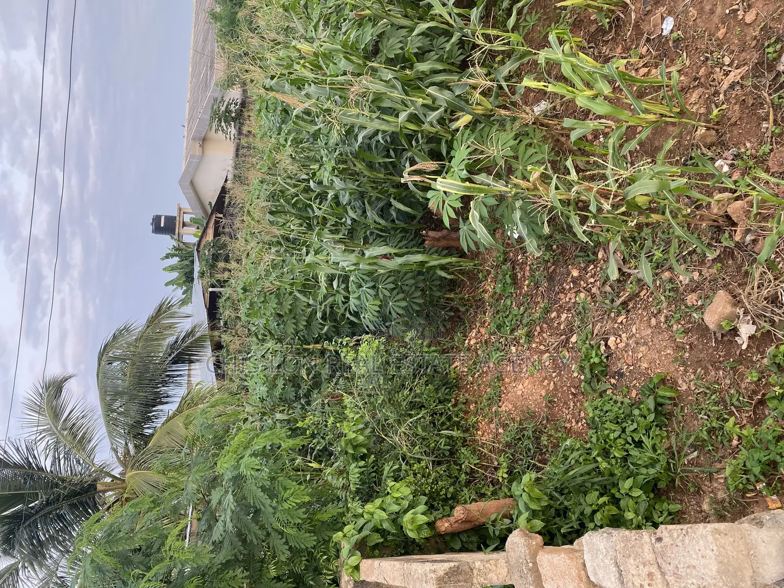 Genuine Land for Sale.