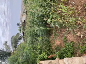 Genuine Land for Sale.