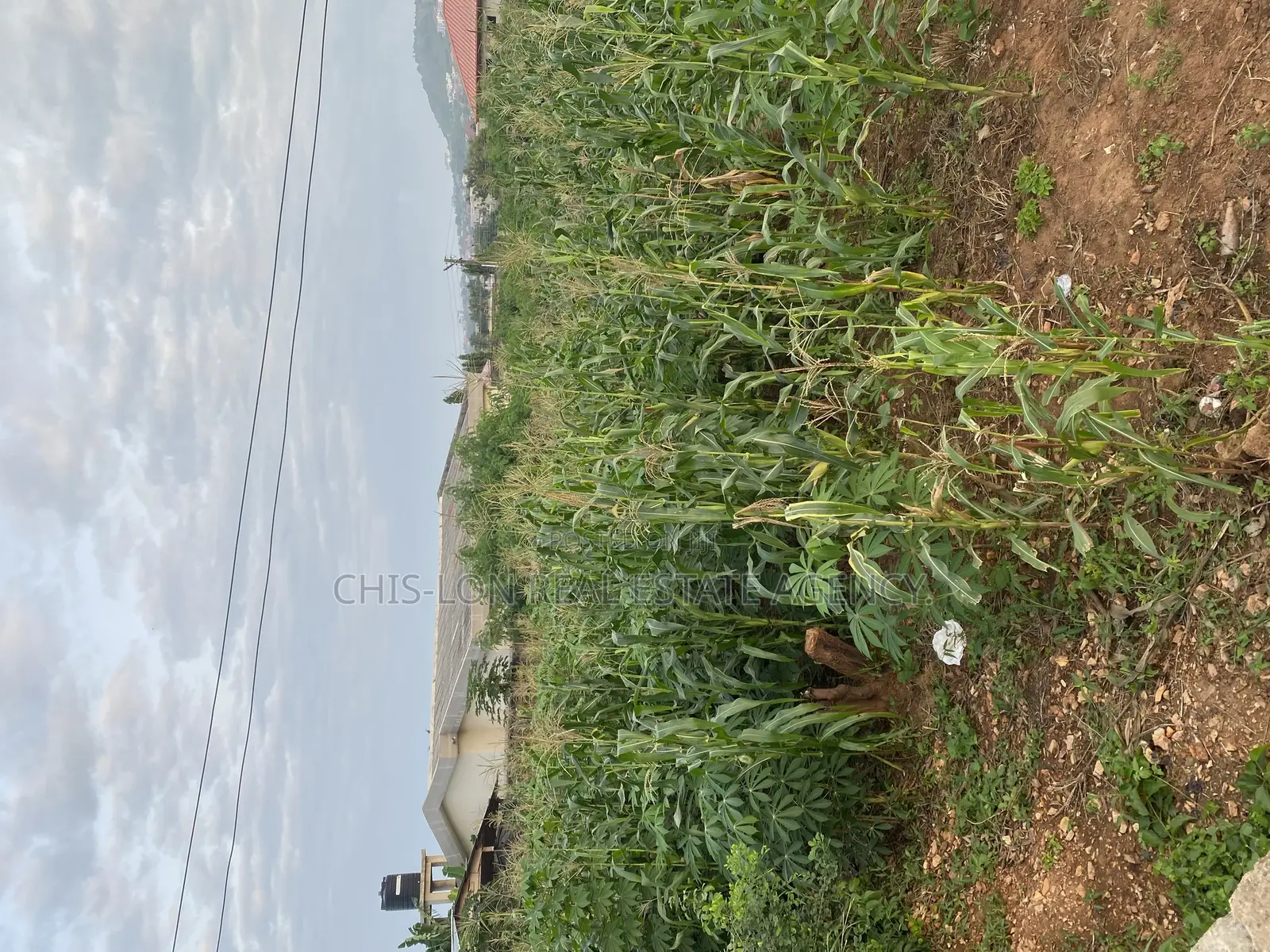 Genuine Land for Sale.