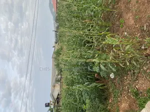 Genuine Land for Sale.
