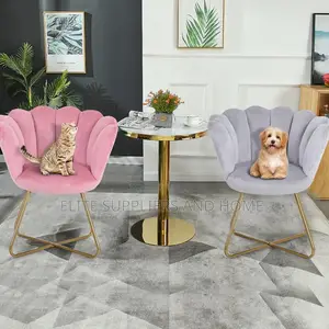 Living Room Chair/Dining Chair