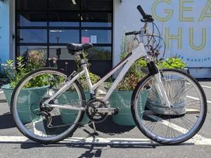 DBS Hybrid Bike