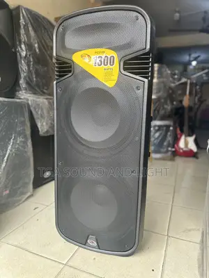 GLS 2x15 Active Rechargeable Loudspeaker With Microphone