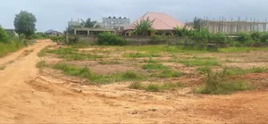 Prime Gated Plots at Appolonia