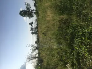 Farm Land for Sale at Kumasi Afigyase Ntomkumso