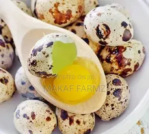 Quail Eggs