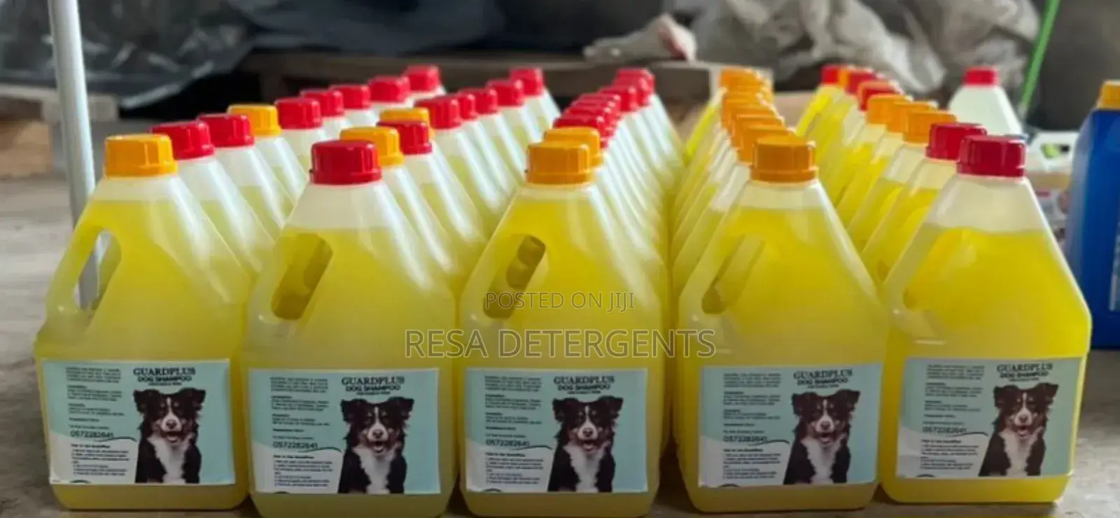 Guardplus Pet Shampoo