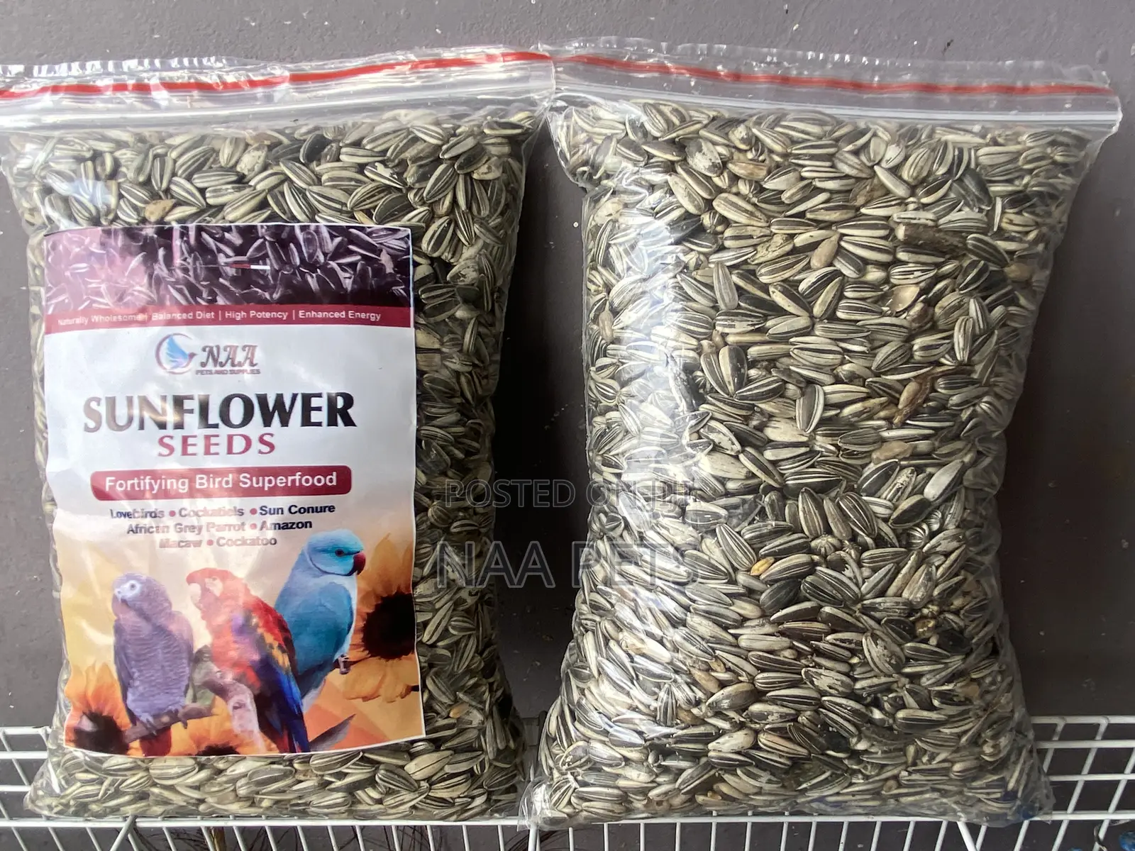Sun Flower Seed
