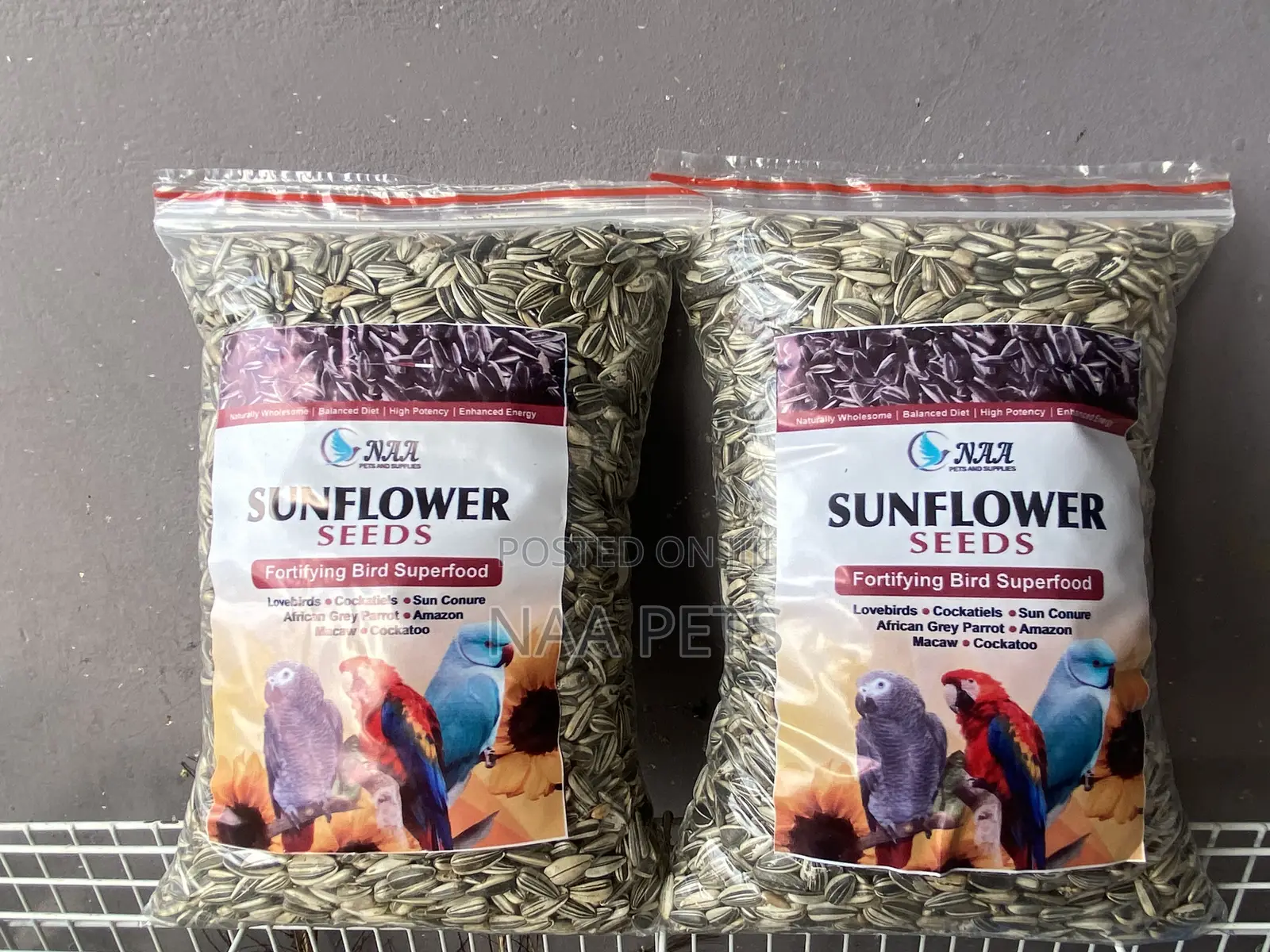 Sun Flower Seed