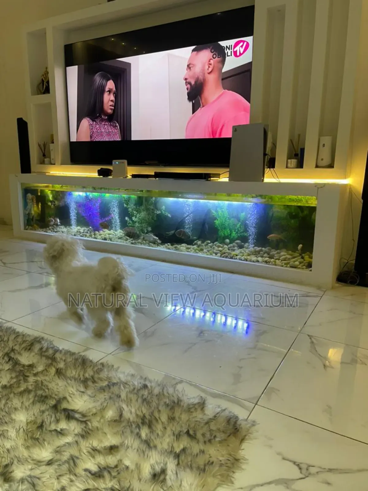 Aquarium Fish Tanks