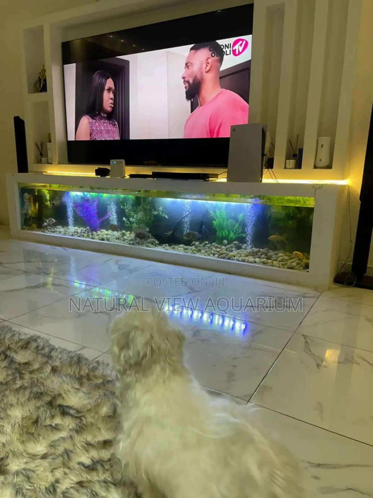 Aquarium Fish Tanks