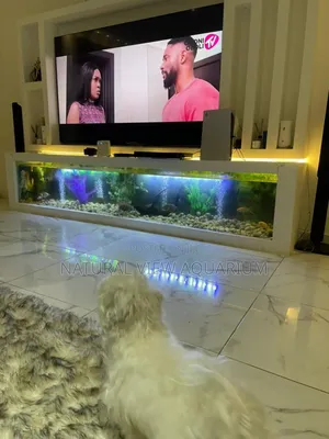 Aquarium Fish Tanks