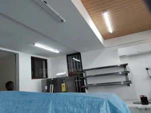 Authentic Painting