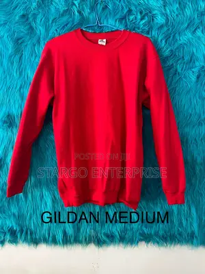 Champion Hoodies From USA